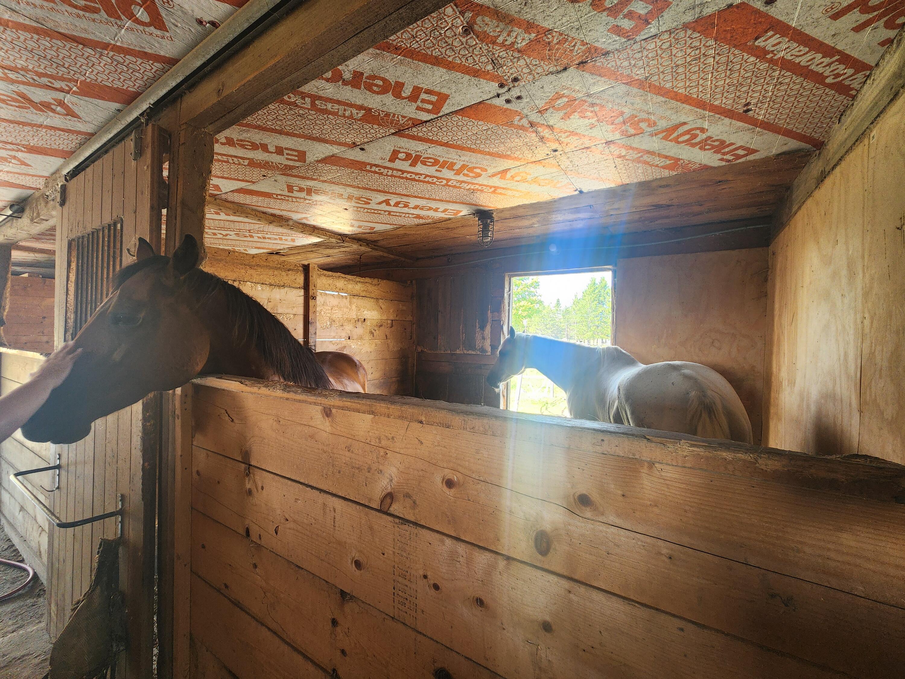 148 Nokomis Road Corinna ME 04928