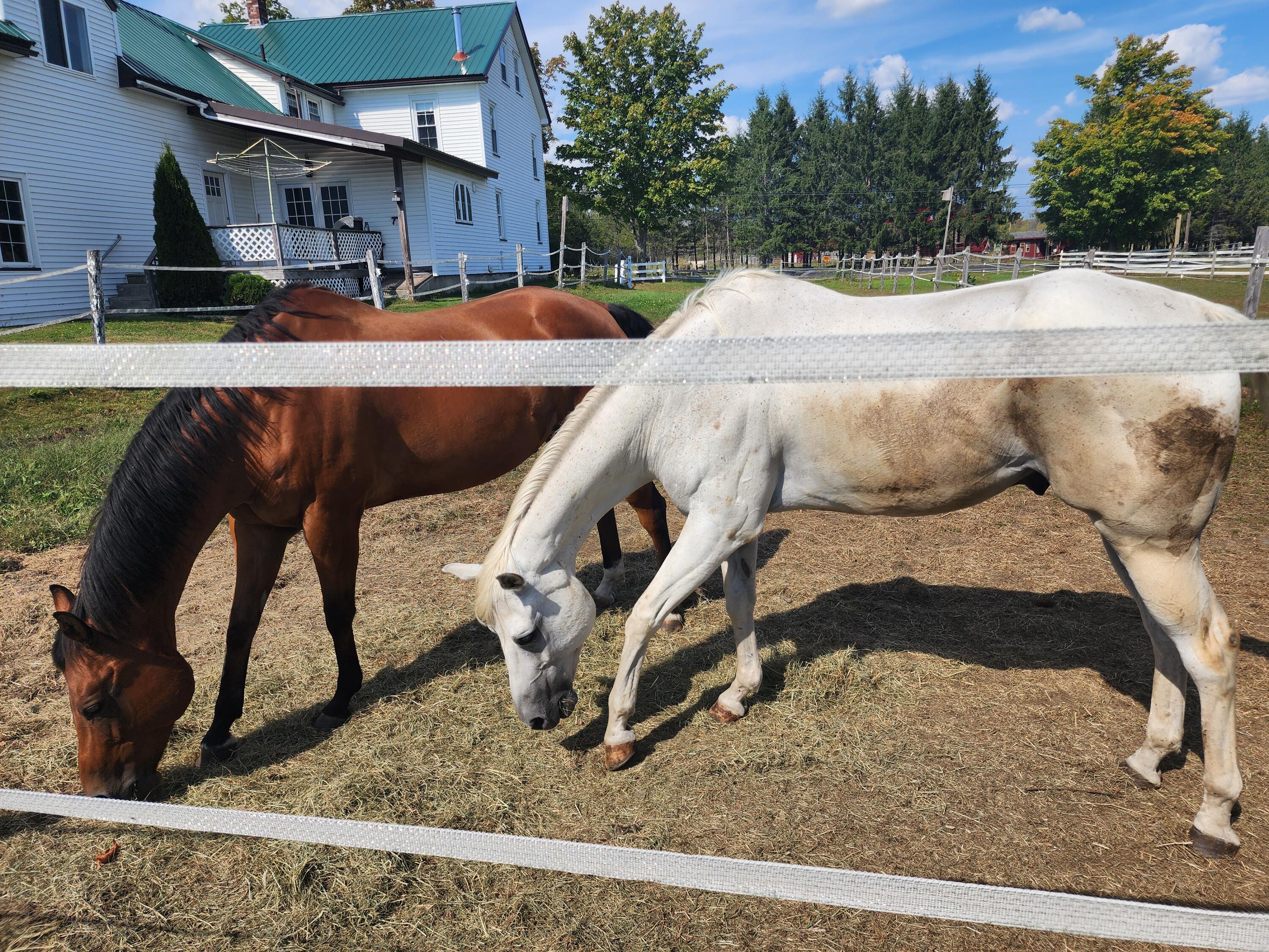 148 Nokomis Road Corinna ME 04928