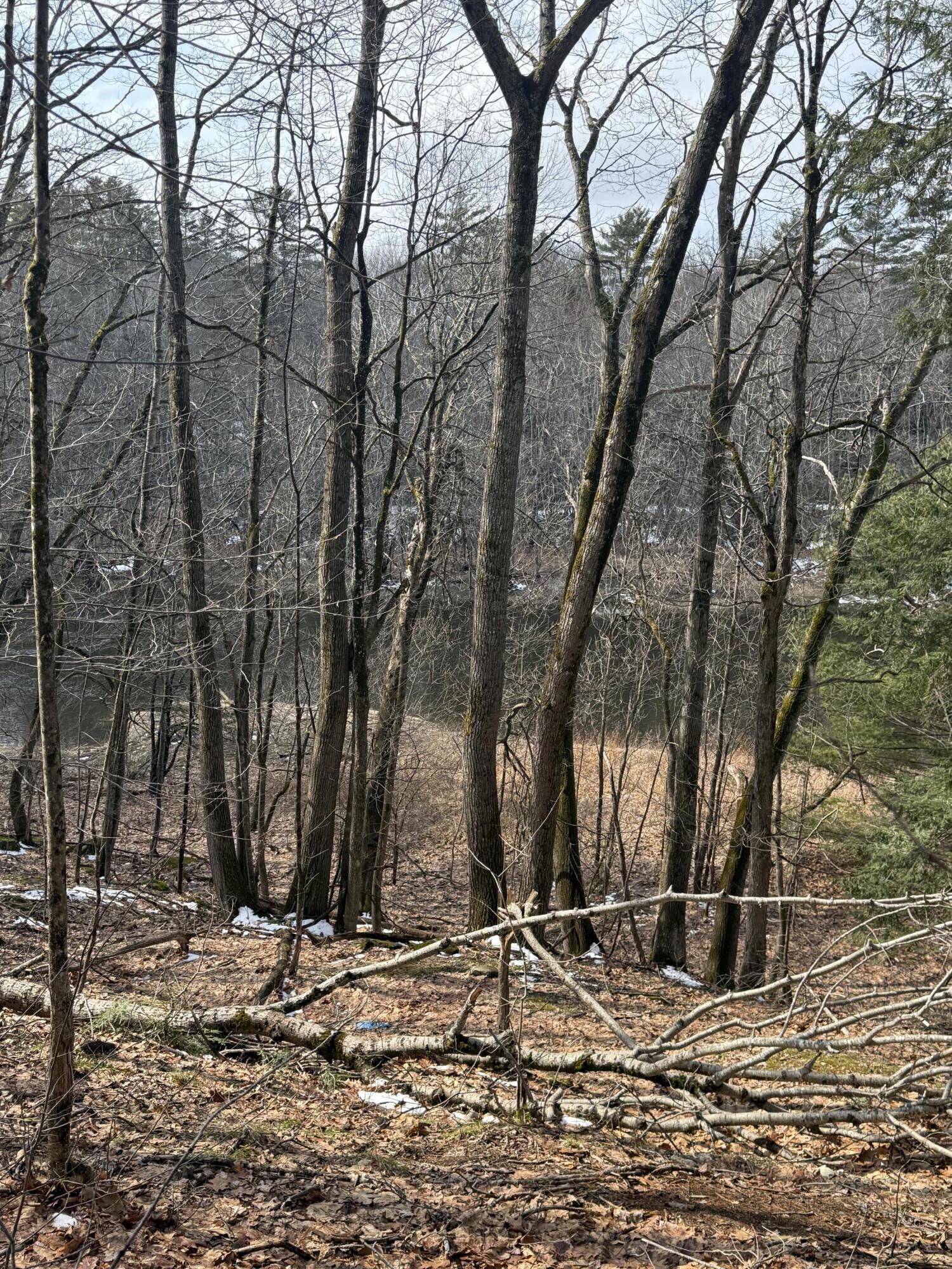 1148 Kenduskeag Avenue Bangor ME 04401