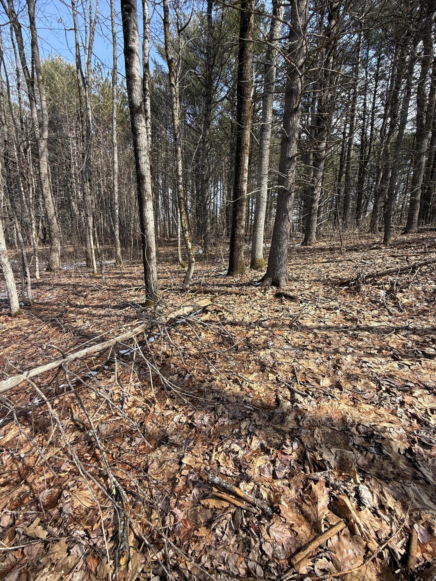 1148 Kenduskeag Avenue Bangor ME 04401