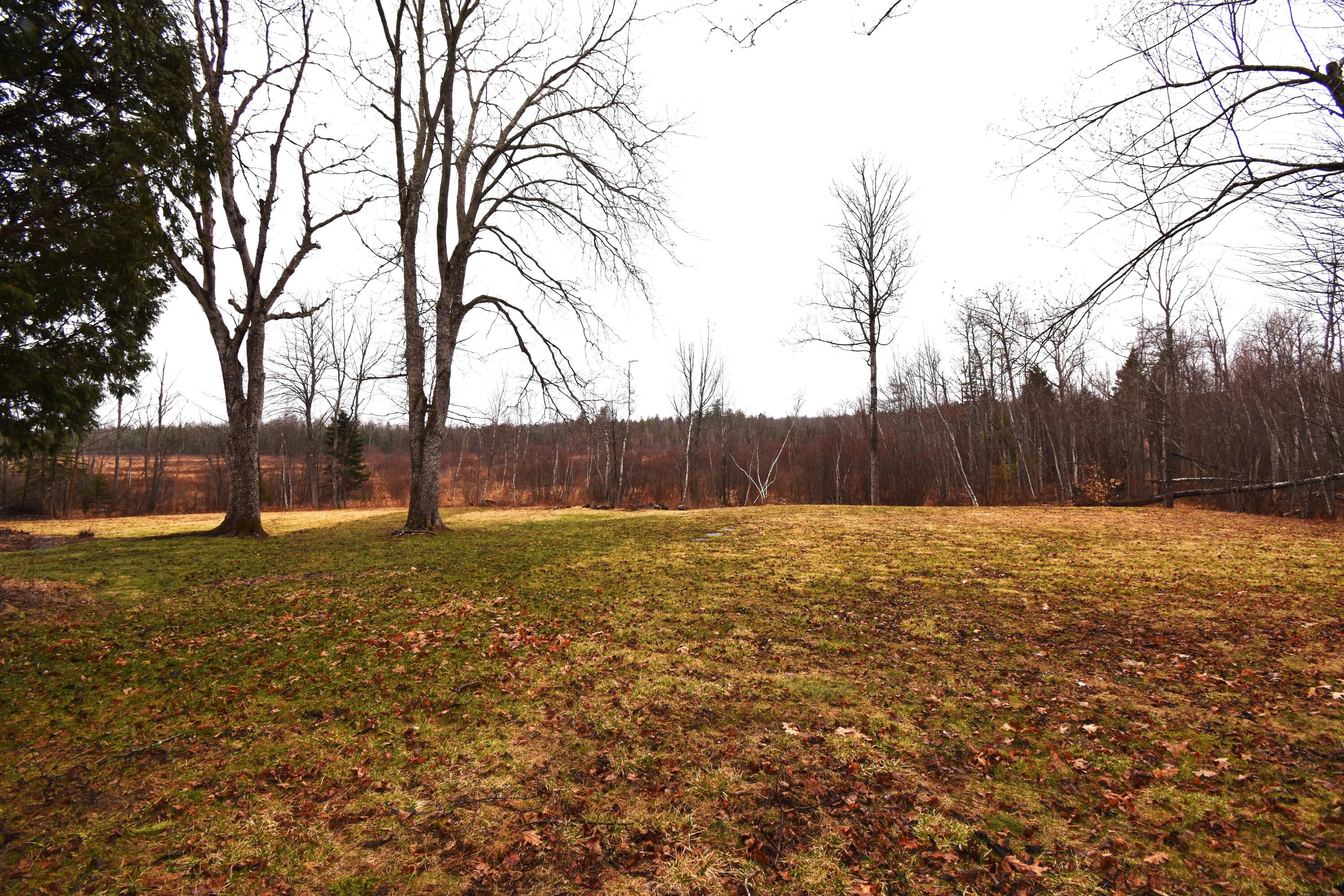 175 Forest Avenue Orono ME 04473