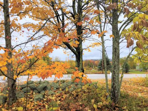 134 Peaco Hill Road Otisfield ME 04270