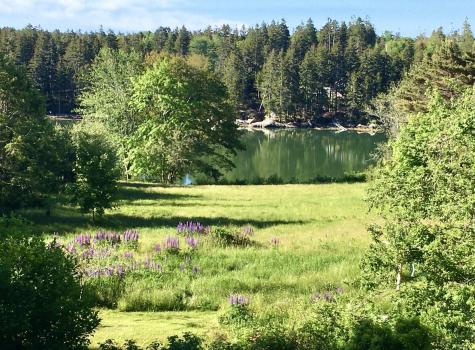 104 S Deer Isle Road Deer Isle ME 04627