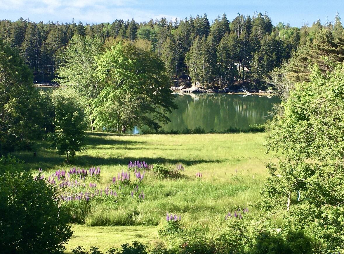 104 S Deer Isle Road Deer Isle ME 04627