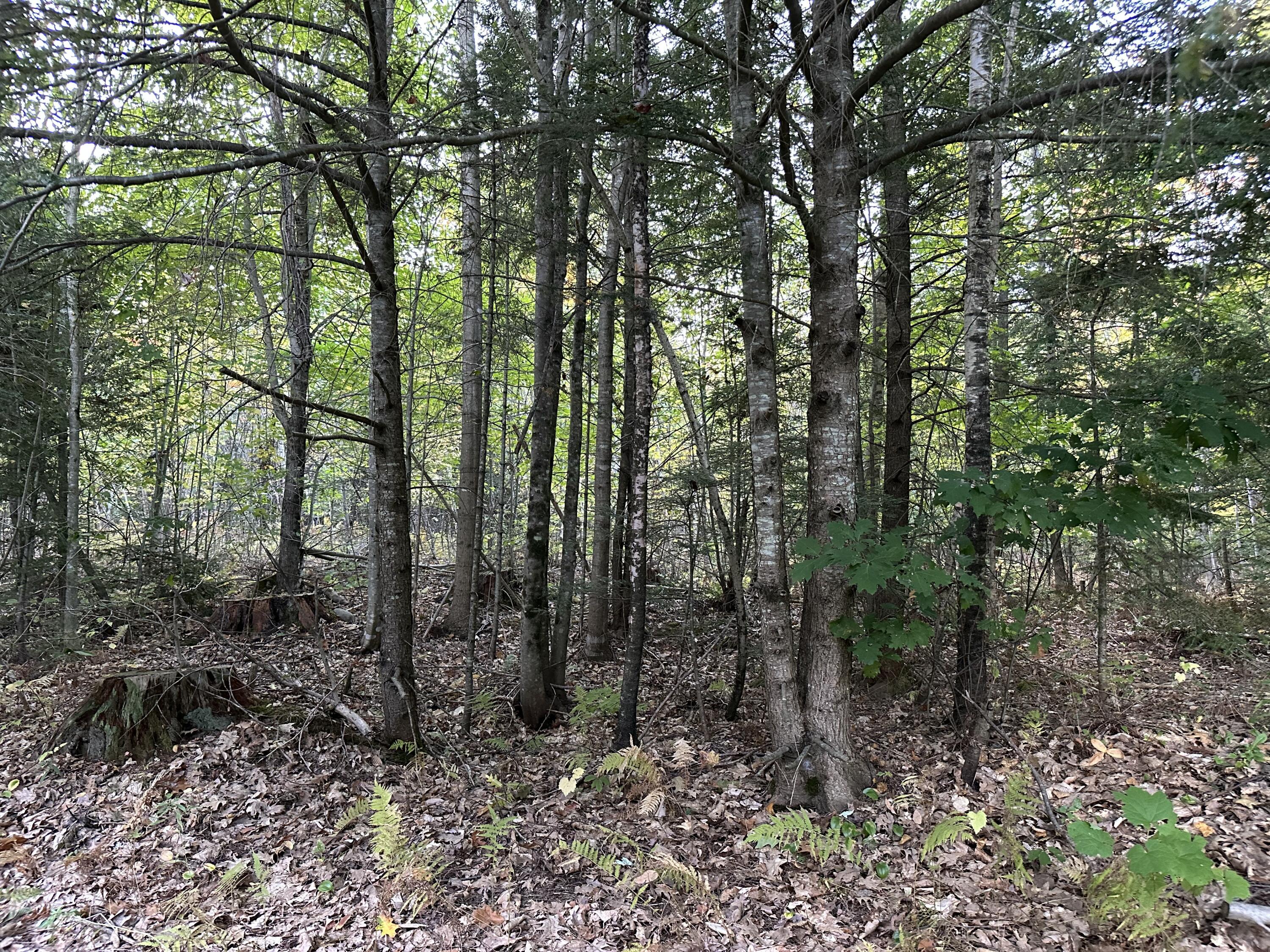 571 Back Road Skowhegan ME 04976
