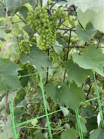 716 Main Street Madawaska ME 04756