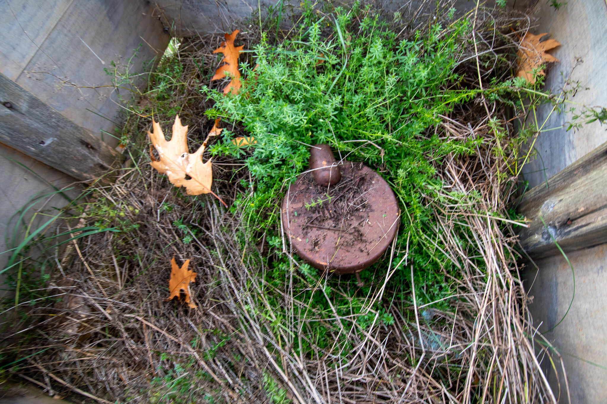 1032 N Dexter Road Sangerville ME 04479