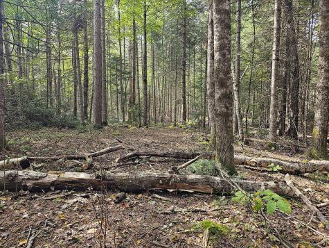 Lot 33 Off Dodlin Road Enfield ME 04493