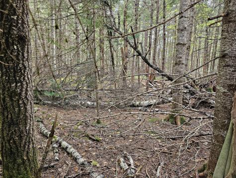 Lot 33 Off Dodlin Road Enfield ME 04493