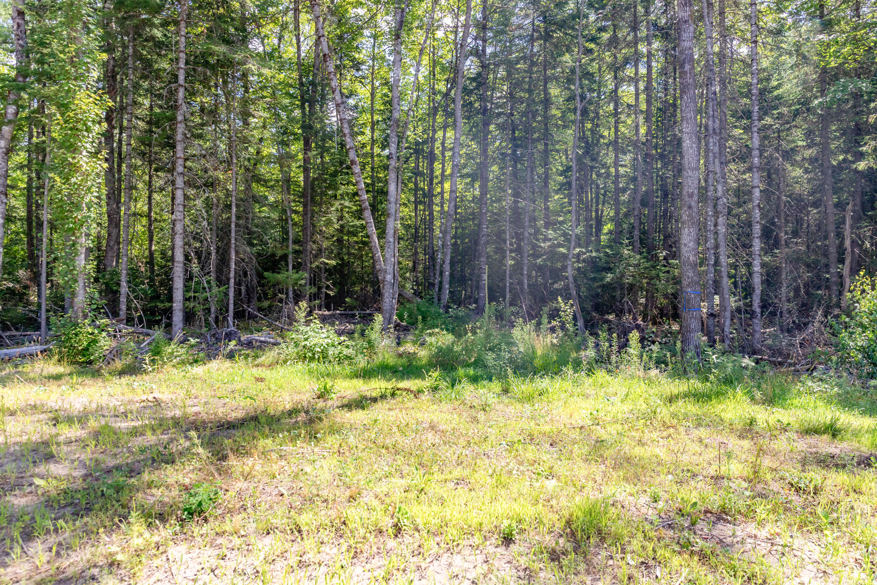 51 Fothingill Road Greenbush ME 04418