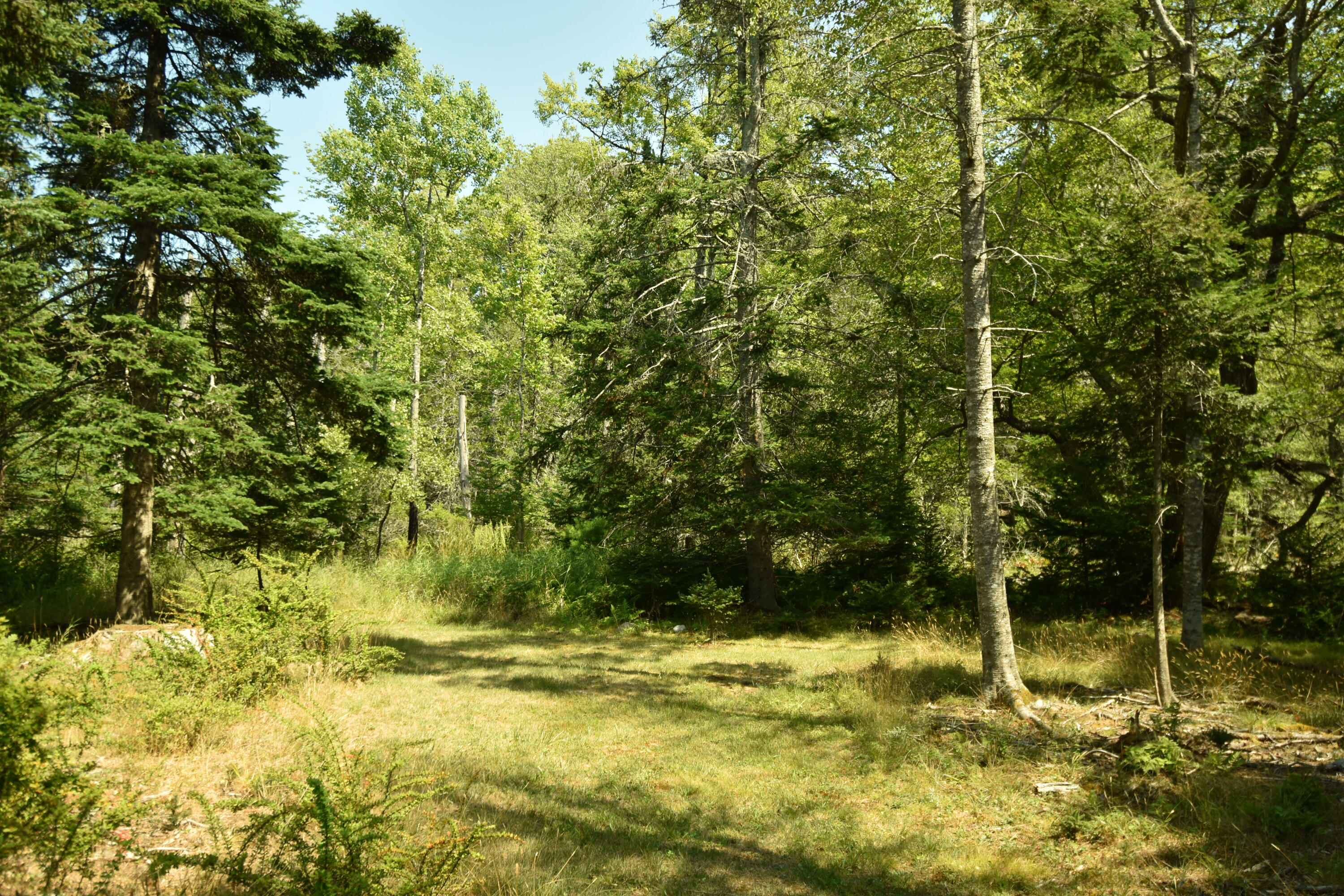 1027 Meadow Pond Road Islesboro ME 04848