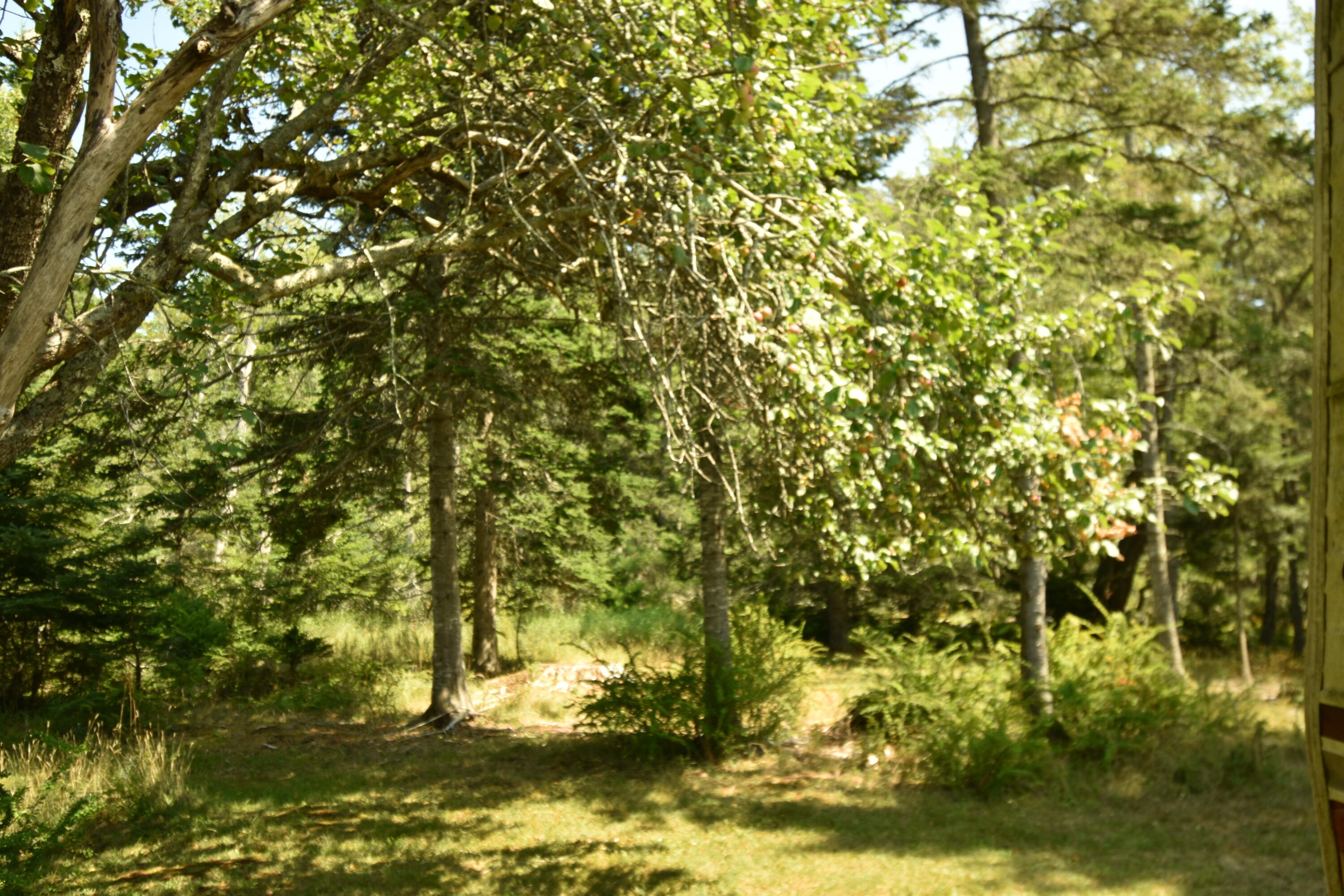 1027 Meadow Pond Road Islesboro ME 04848