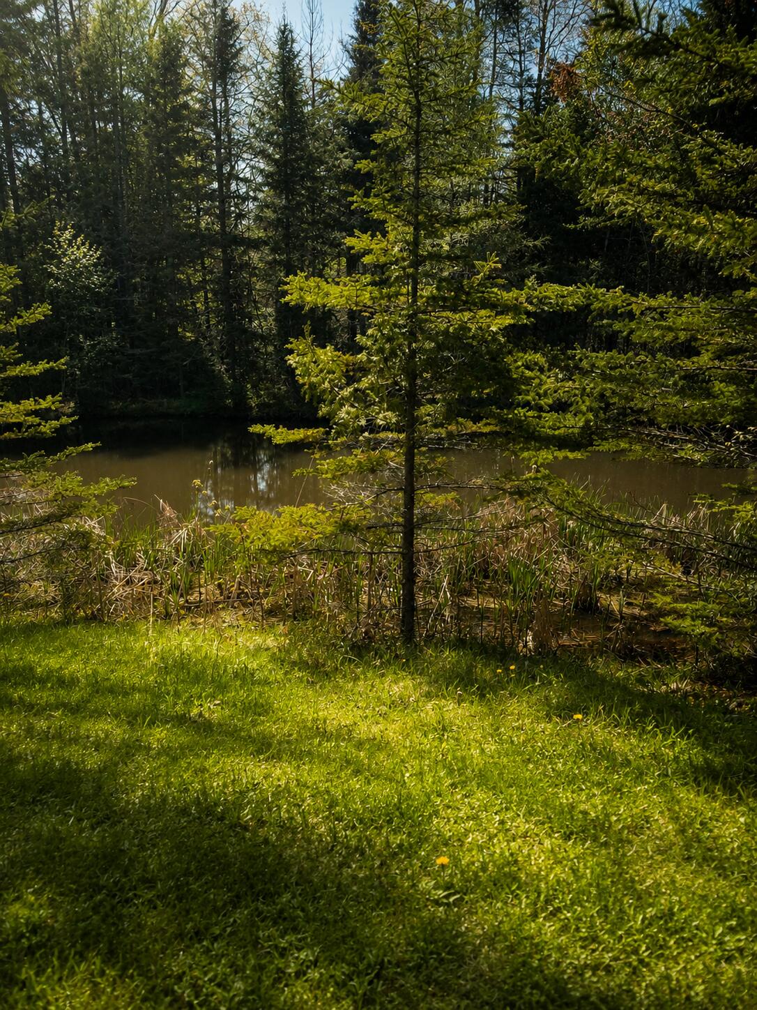 352 Harriman Point Road Brooklin ME 04616