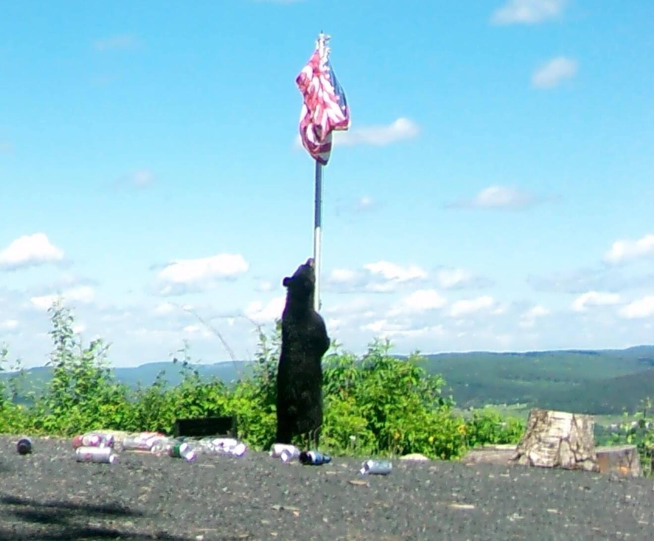 1083 Main Street Madawaska ME 04756