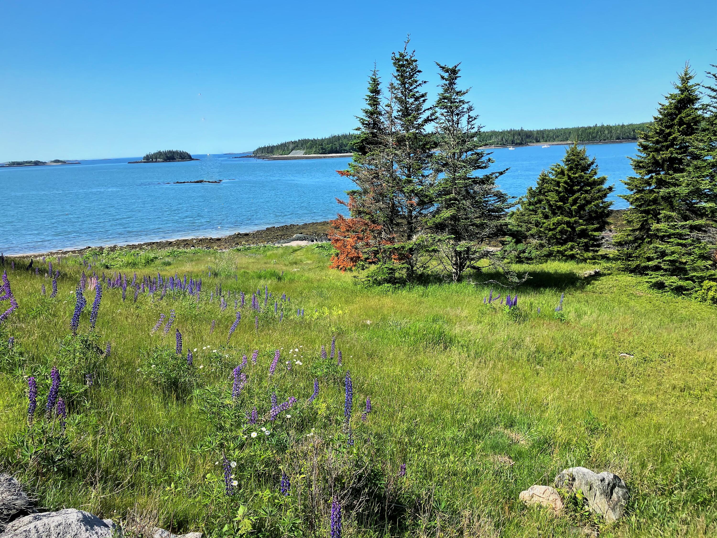 613 Yoho Head Road Machiasport ME 04655