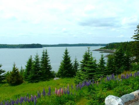 613 Yoho Head Road Machiasport ME 04655