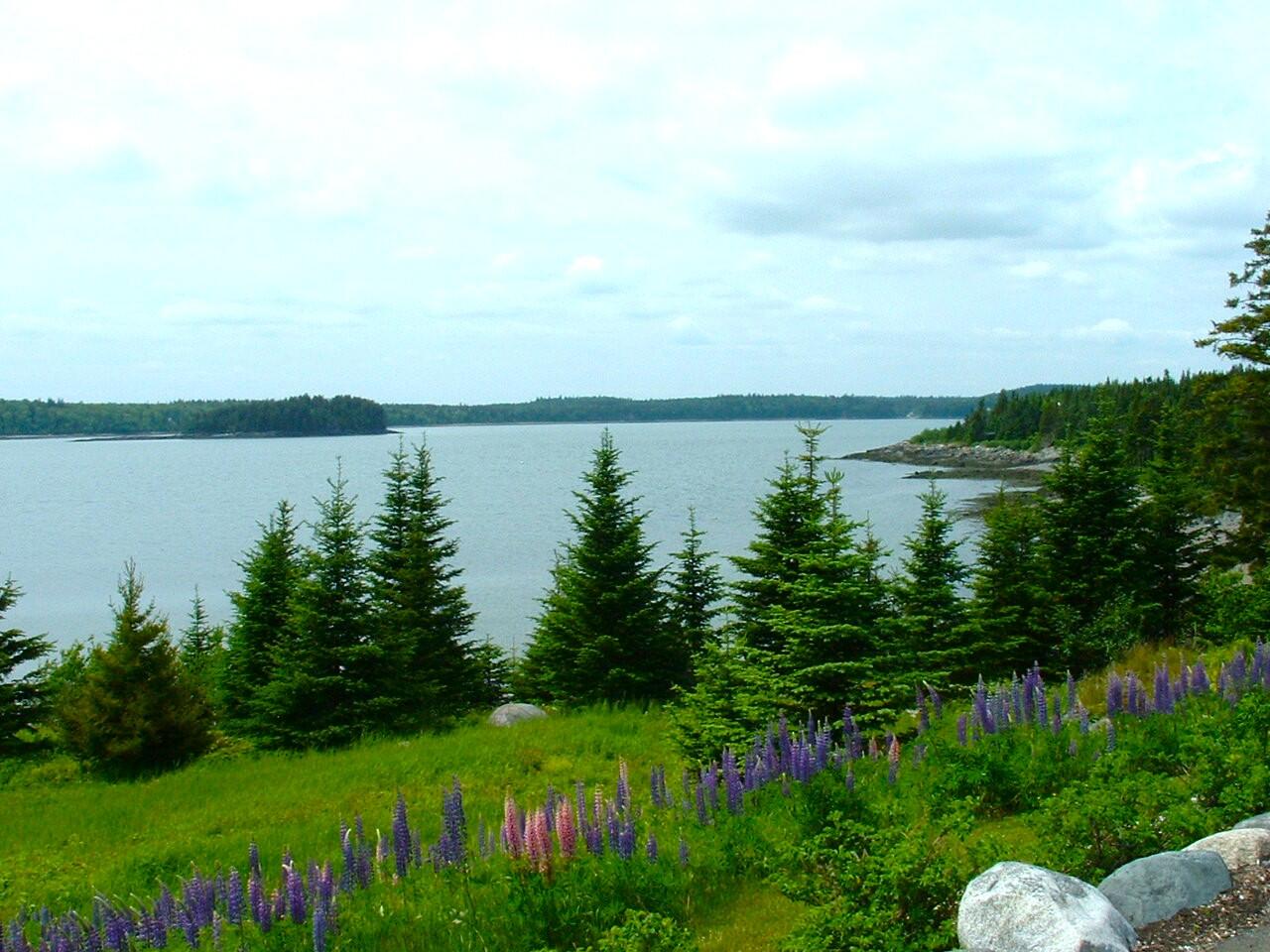 613 Yoho Head Road Machiasport ME 04655