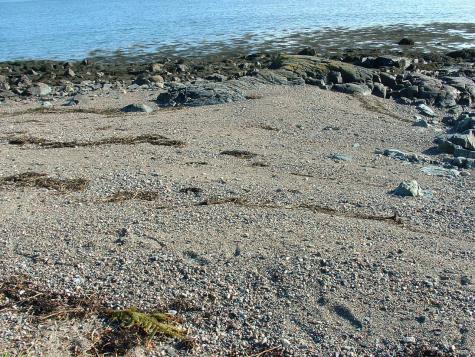 613 Yoho Head Road Machiasport ME 04655