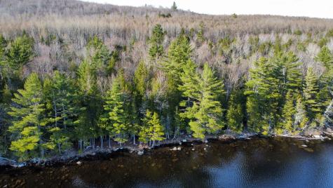 Lot 6 Bill Green Pond Road T3 R1 Nbpp ME 04455