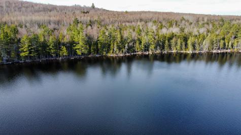 Lot 6 Bill Green Pond Road T3 R1 Nbpp ME 04455