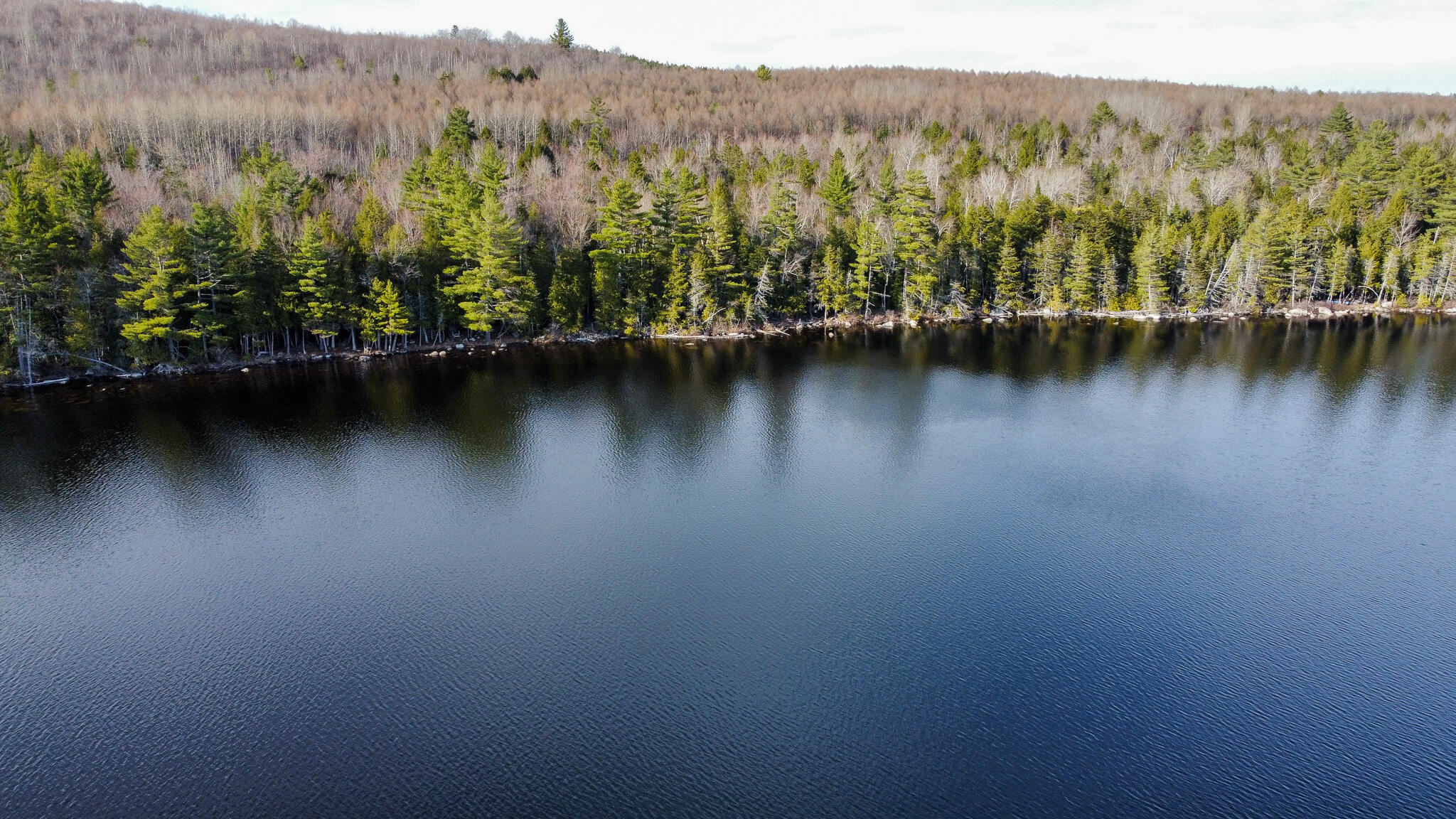 Lot 6 Bill Green Pond Road T3 R1 Nbpp ME 04455