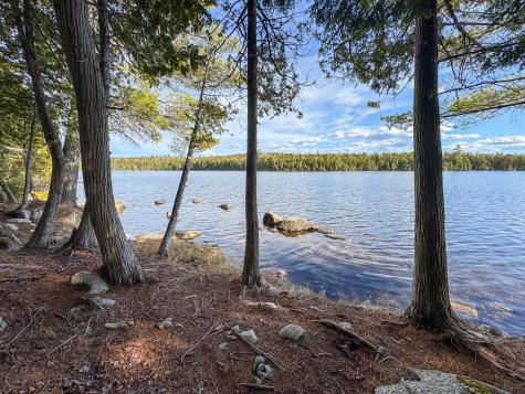 Lot 6 Bill Green Pond Road T3 R1 Nbpp ME 04455