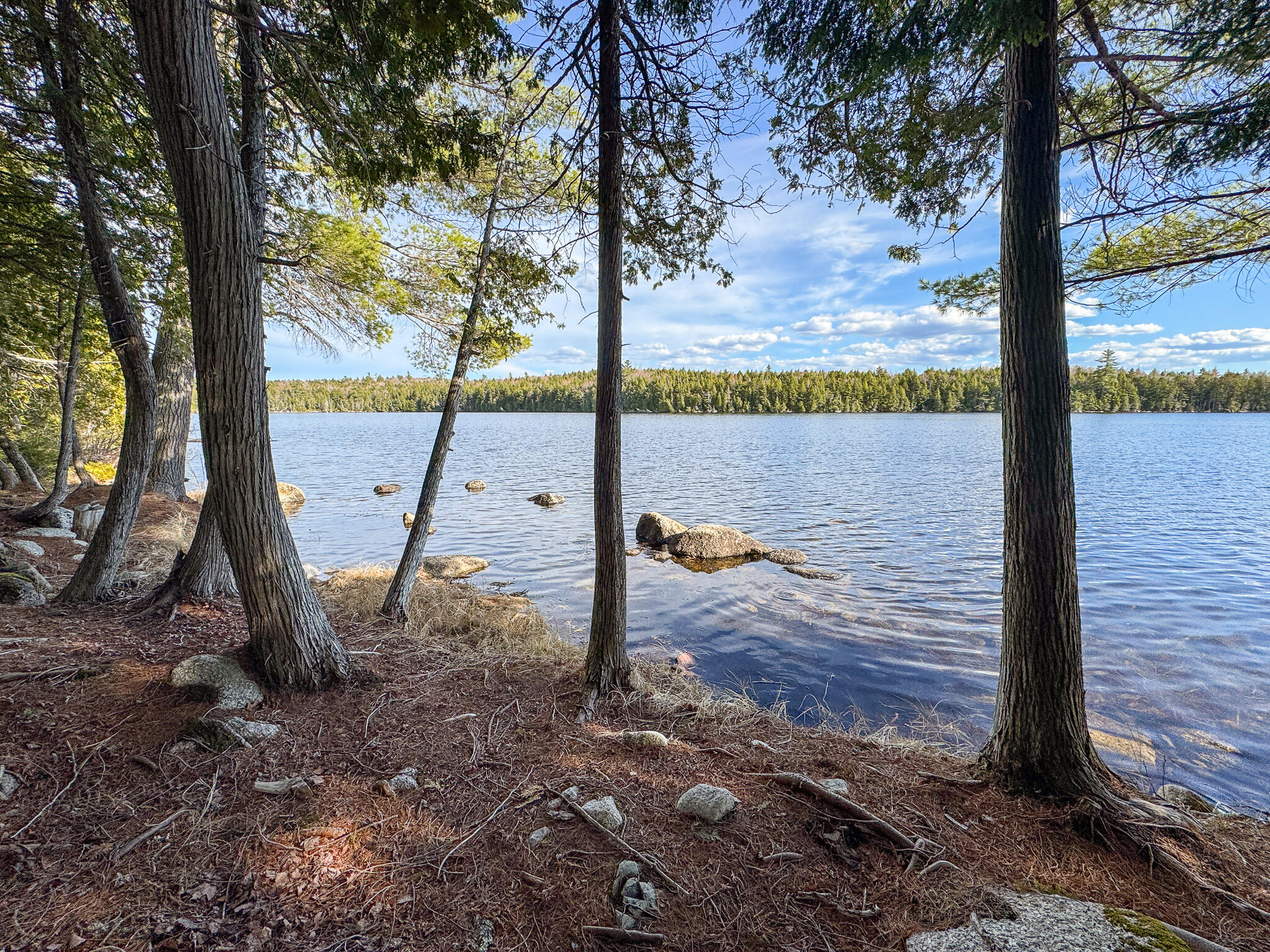 Lot 6 Bill Green Pond Road T3 R1 Nbpp ME 04455