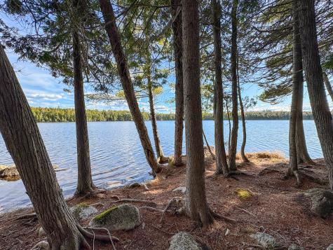 Lot 6 Bill Green Pond Road T3 R1 Nbpp ME 04455