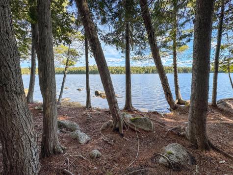 Lot 6 Bill Green Pond Road T3 R1 Nbpp ME 04455