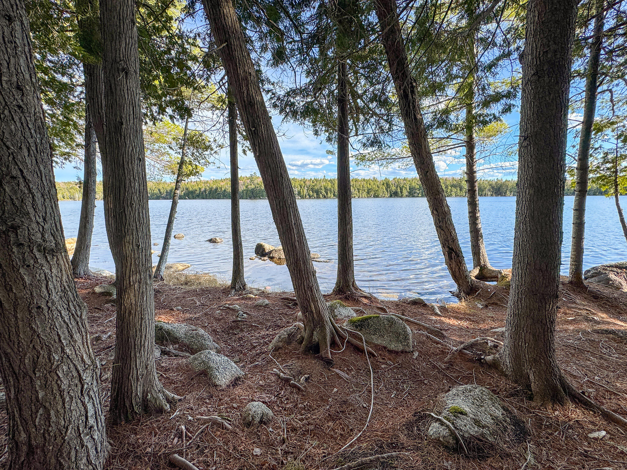 Lot 6 Bill Green Pond Road T3 R1 Nbpp ME 04455
