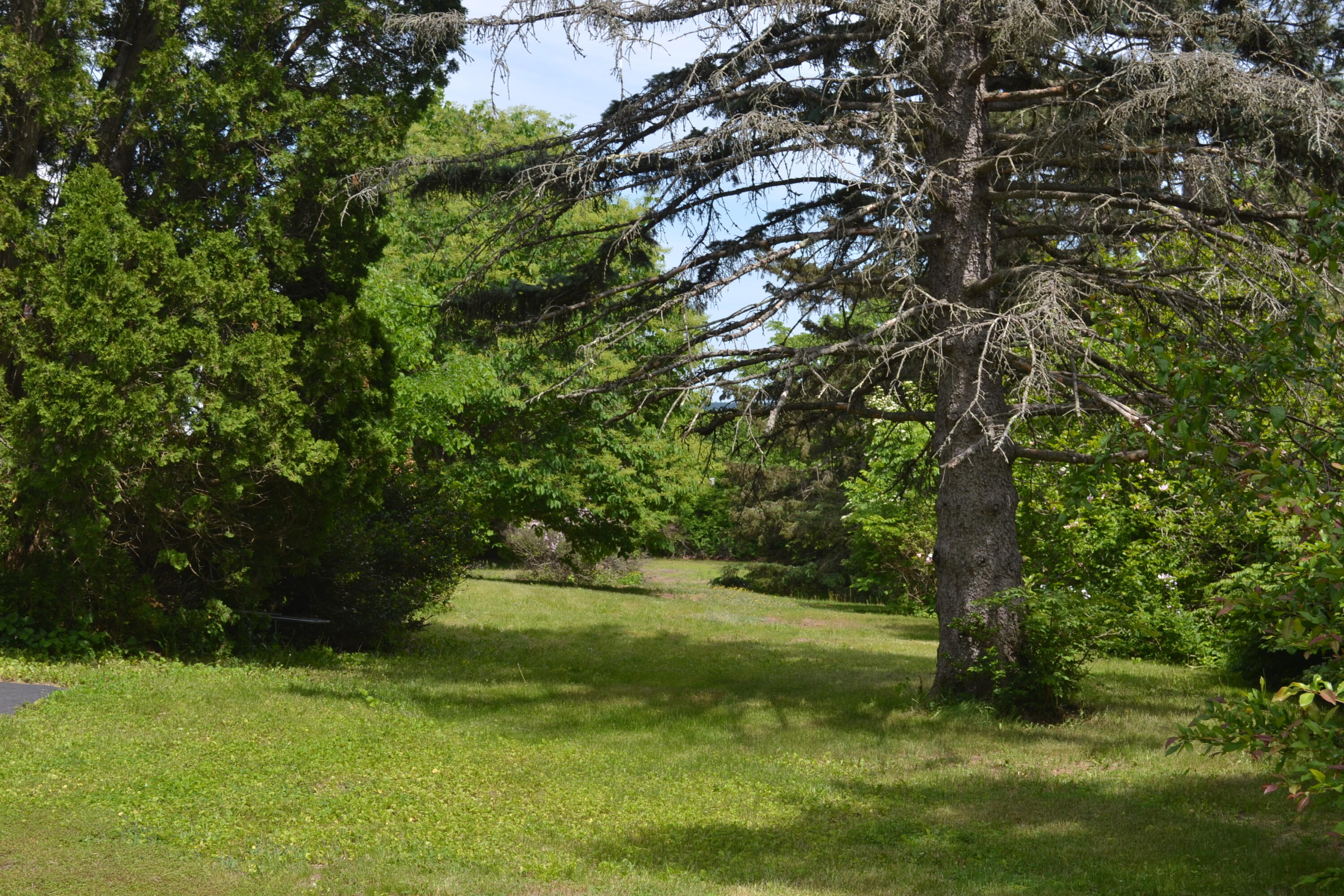 15 Hillside Avenue Falmouth ME 04105