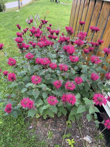 221 Shirley Road Blanchard Twp ME 04406