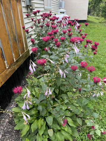 221 Shirley Road Blanchard Twp ME 04406