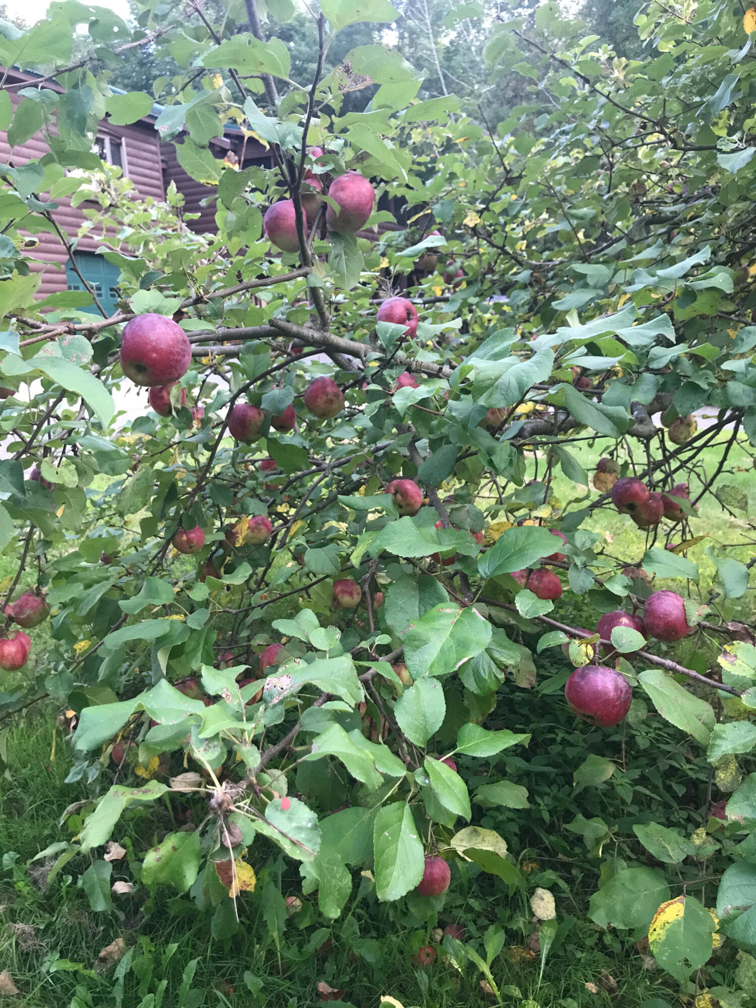 227 Simpson Corner Road Dixmont ME 04932