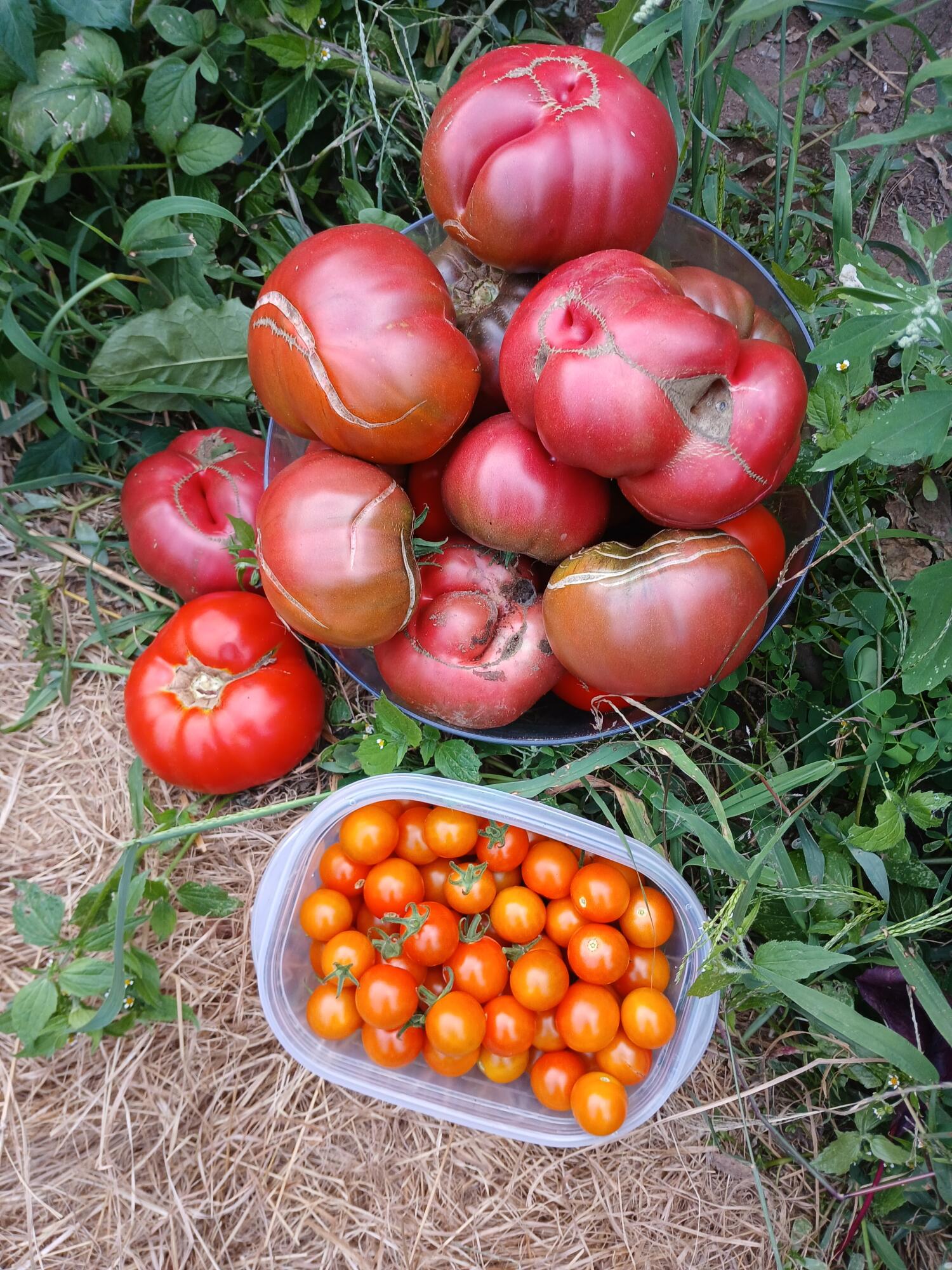 227 Simpson Corner Road Dixmont ME 04932