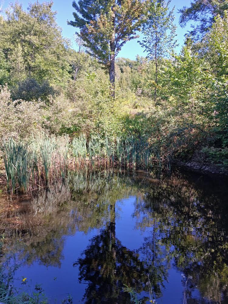 227 Simpson Corner Road Dixmont ME 04932