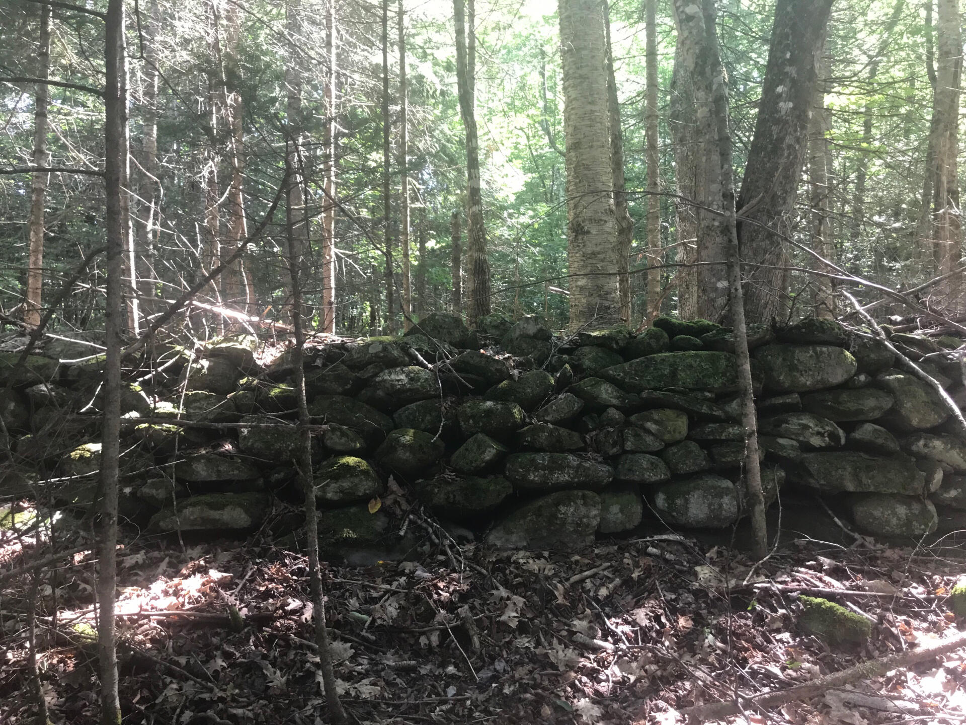 227 Simpson Corner Road Dixmont ME 04932