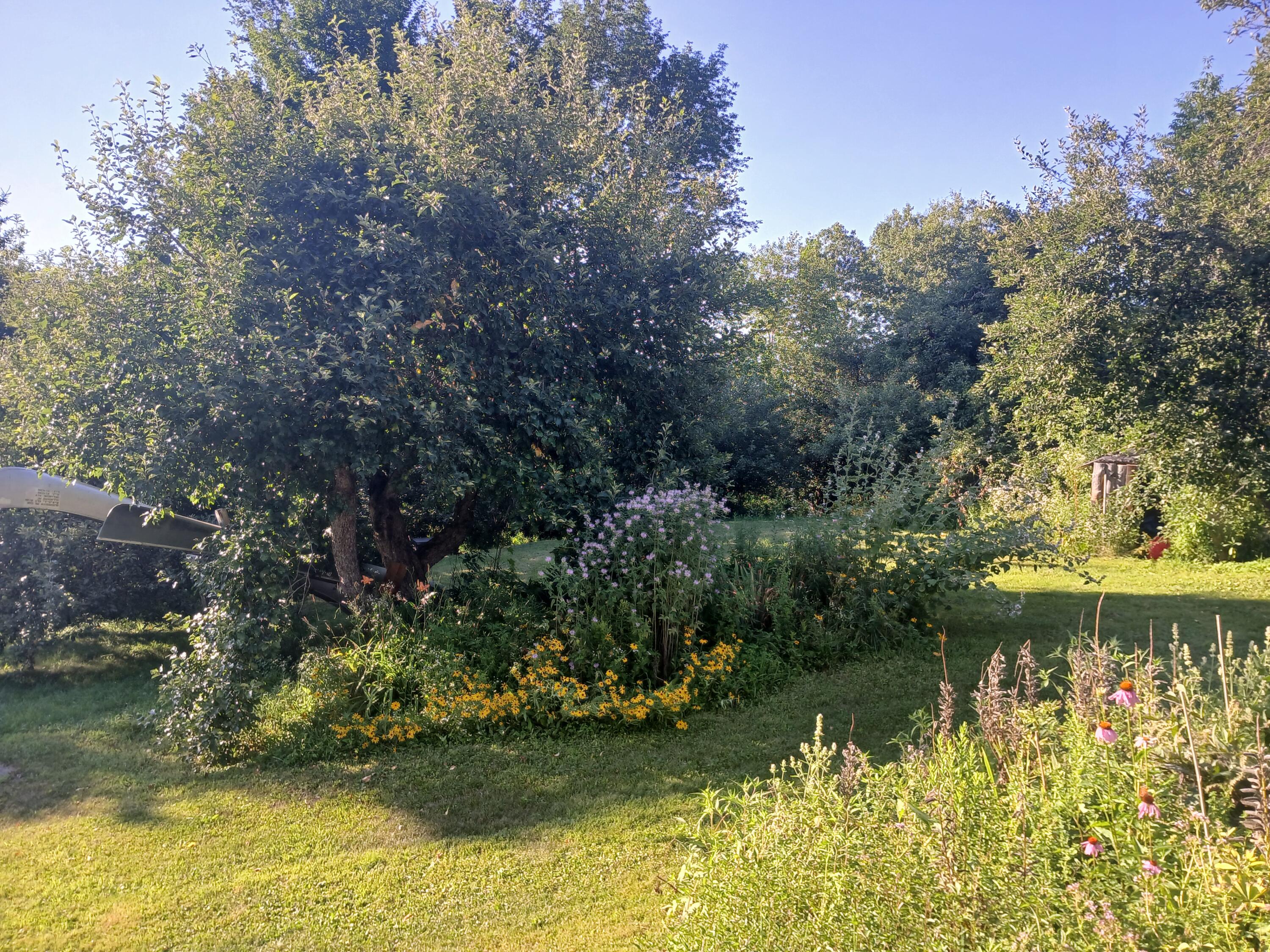 227 Simpson Corner Road Dixmont ME 04932