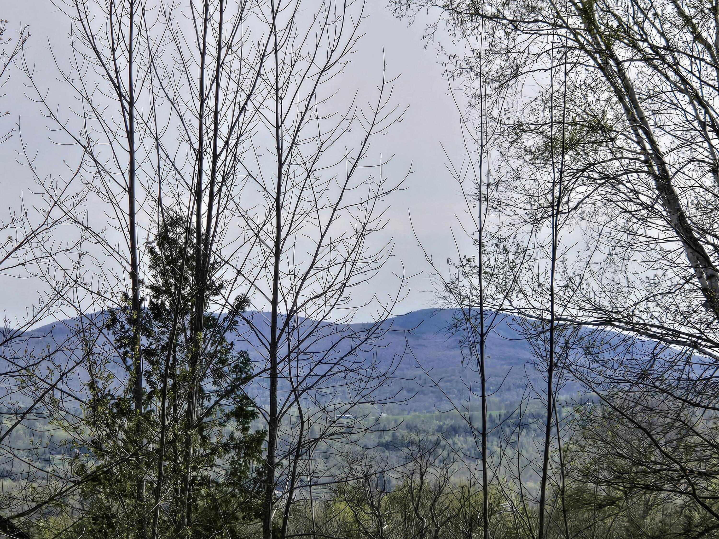 22 Bray Hill Road Phillips ME 04966