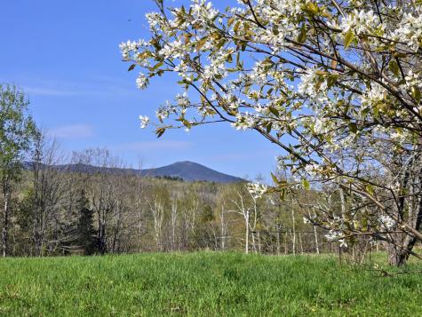 22 Bray Hill Road Phillips ME 04966