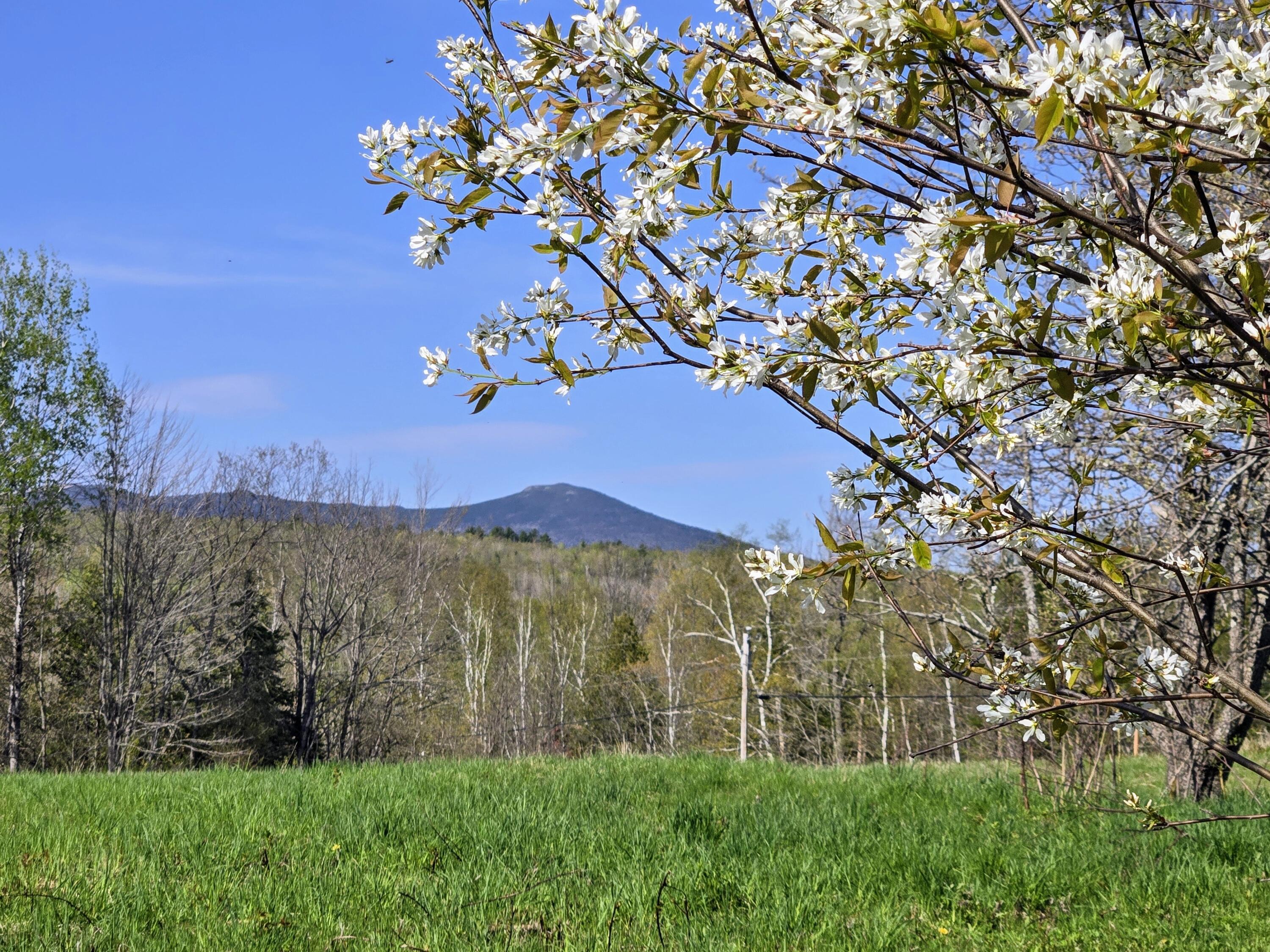 22 Bray Hill Road Phillips ME 04966