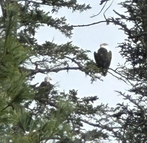 73 Narrows Way Lamoine ME 04605