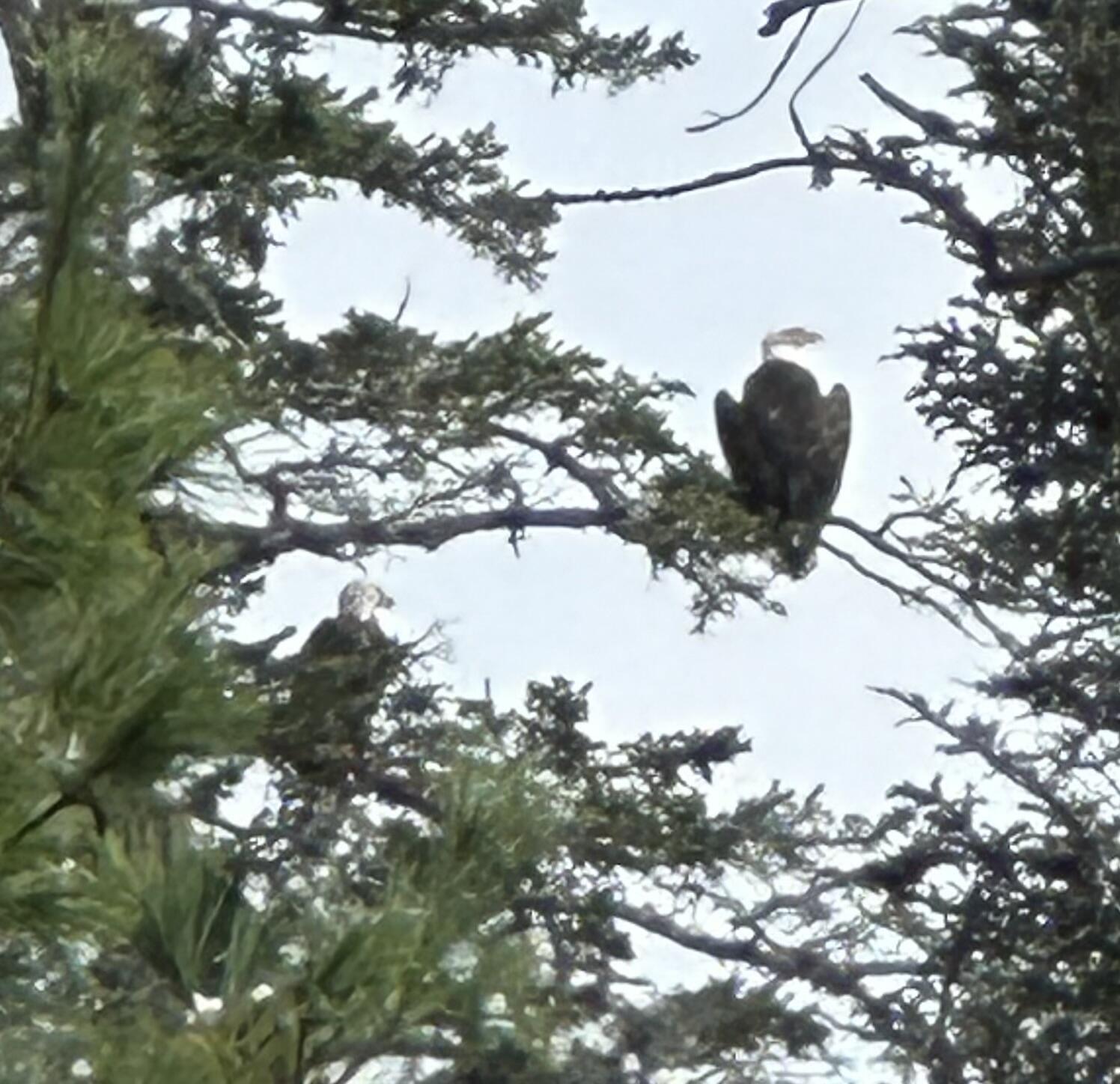 73 Narrows Way Lamoine ME 04605