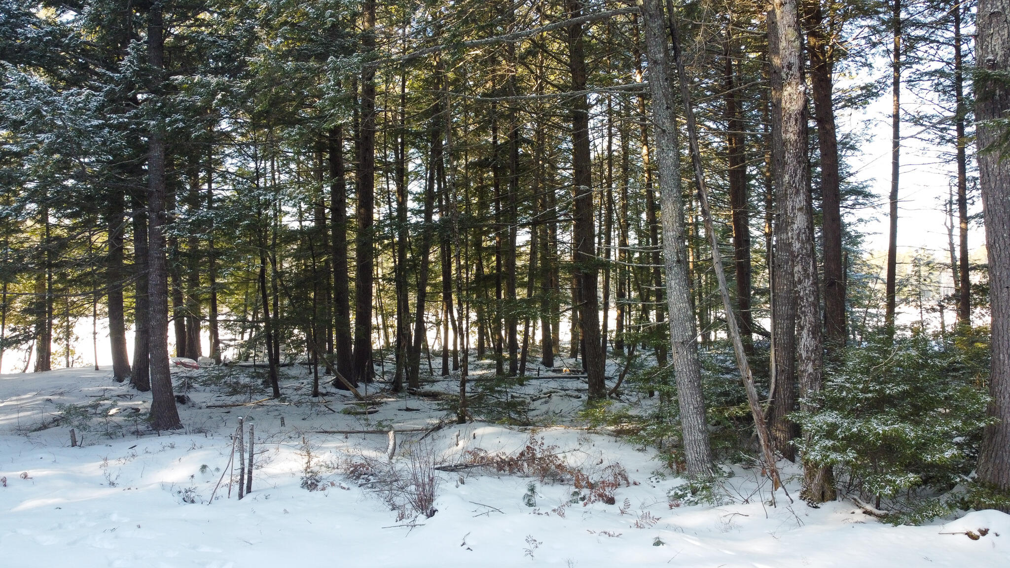 103 Thoroughfare Lane Lincoln ME 04457