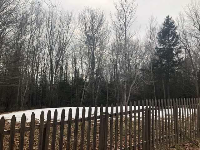 60 Birchlawn Drive Lamoine ME 04605