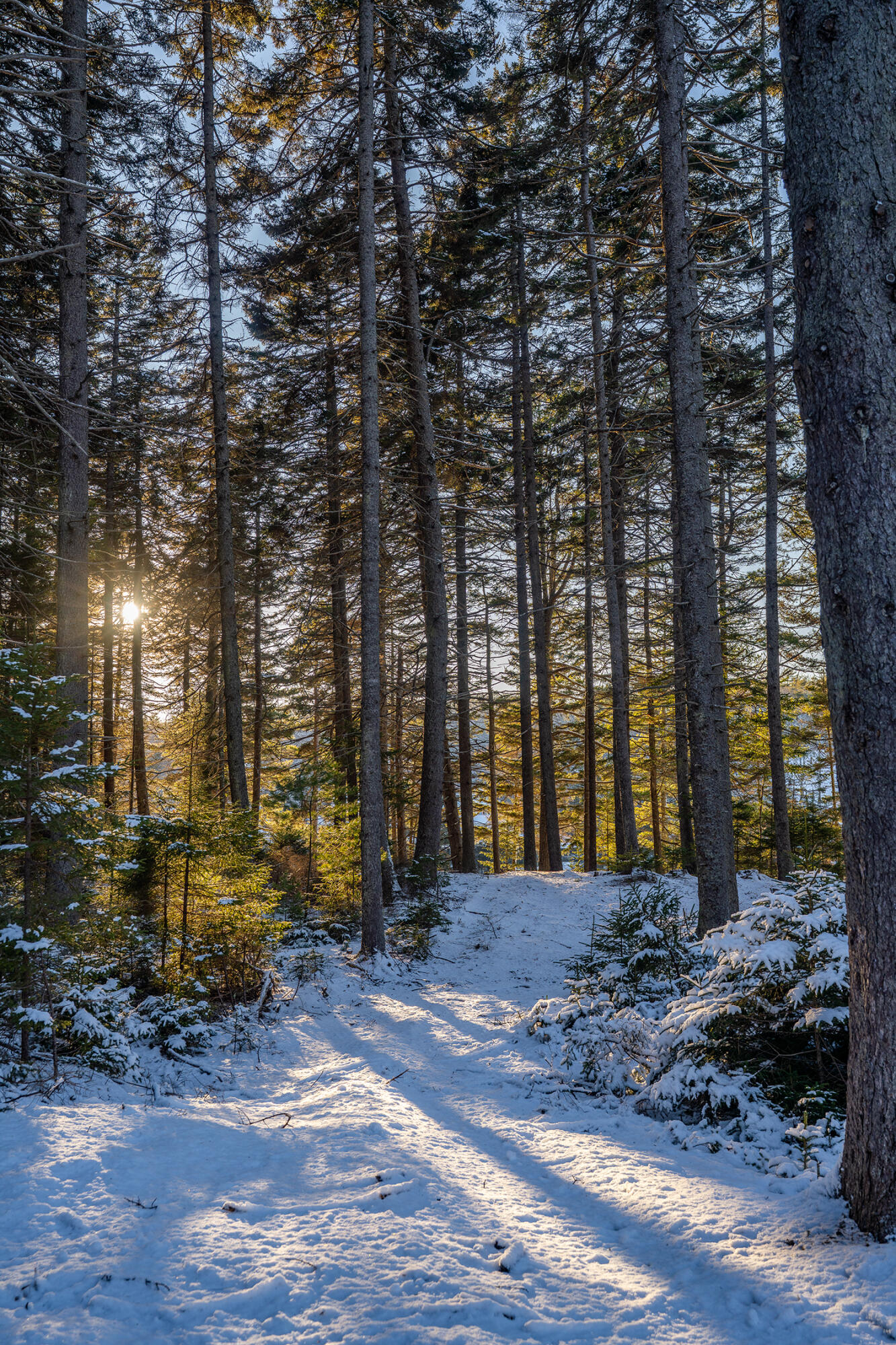 47 Snowman Lane Georgetown ME 04548