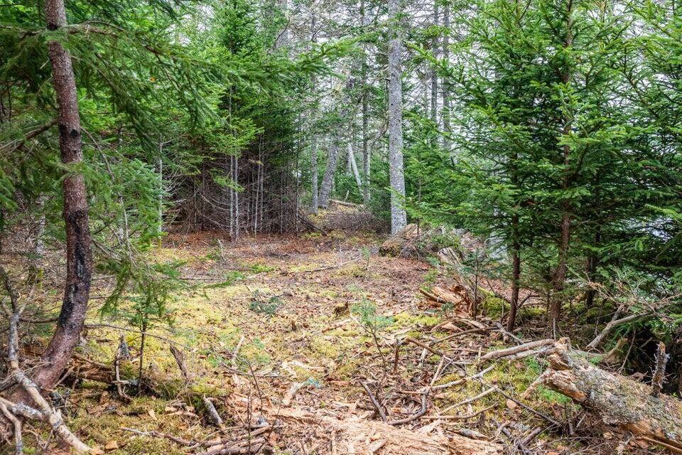 11 Quiet Shore Road Steuben ME 04680