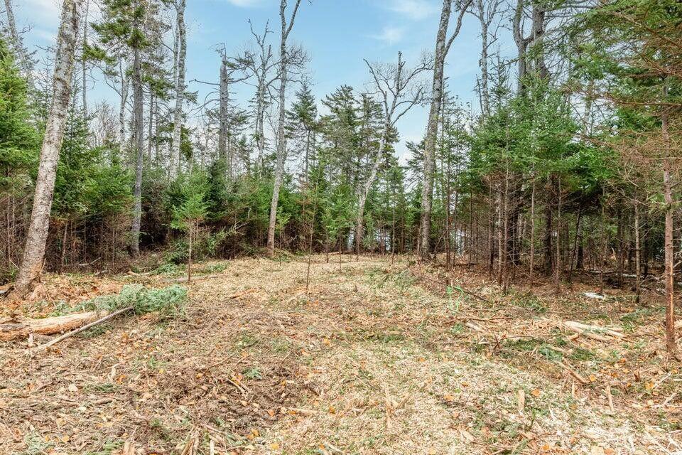 11 Quiet Shore Road Steuben ME 04680