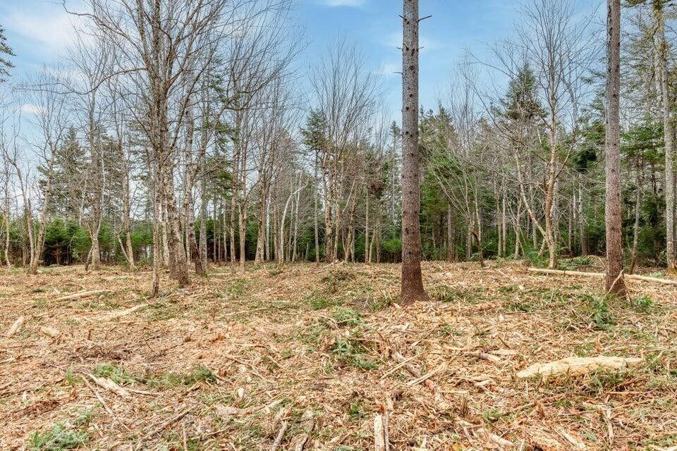 11 Quiet Shore Road Steuben ME 04680