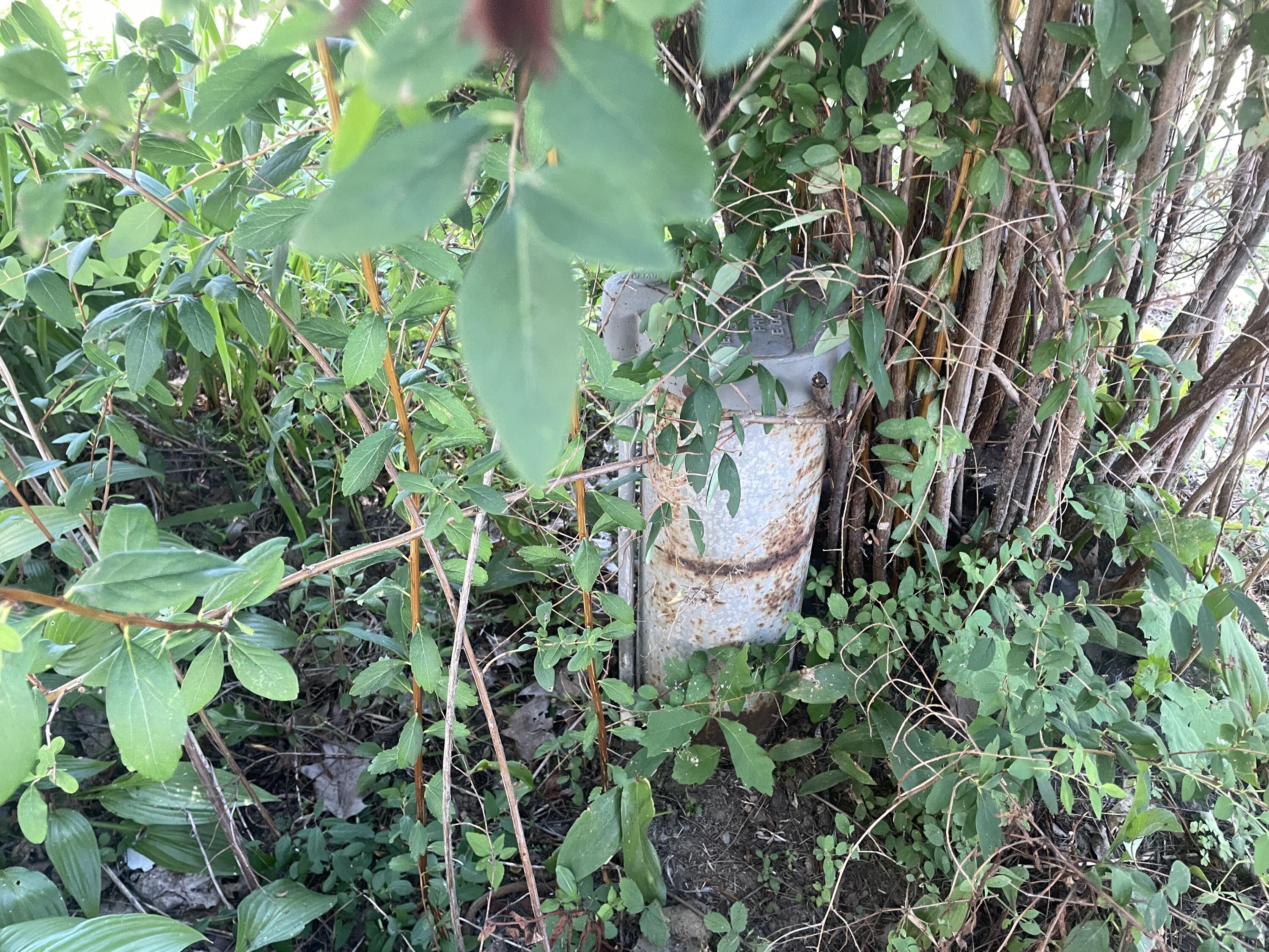 14 High Street Harmony ME 04942